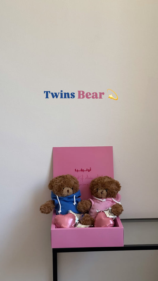 Twins bear 💙🩷